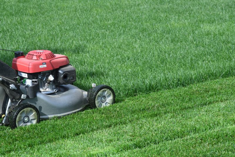 Vacant Lot Mowing in Calvert County, MD