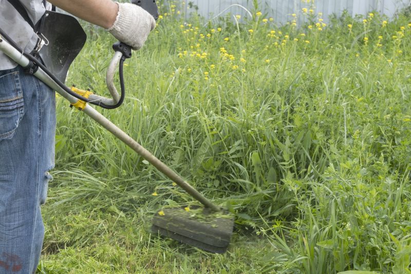 Brush Cutting