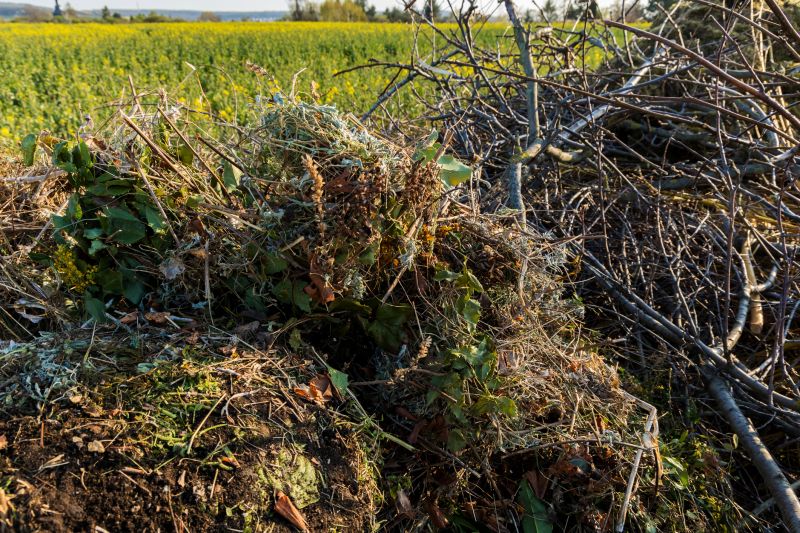 Property Post-Clearing