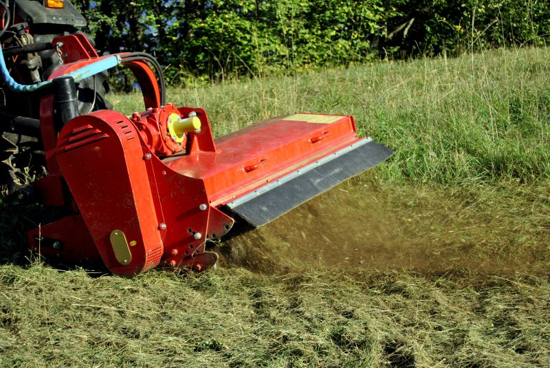 Overgrown Land Before Clearing