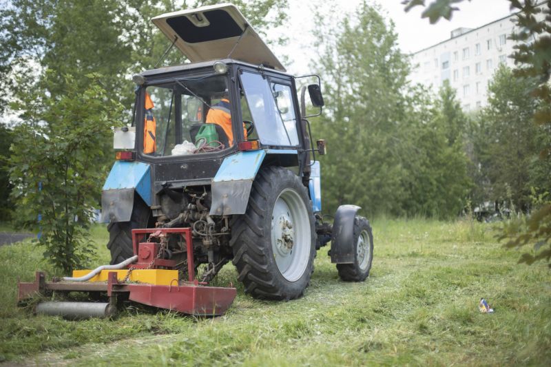 Bush Hogging Service