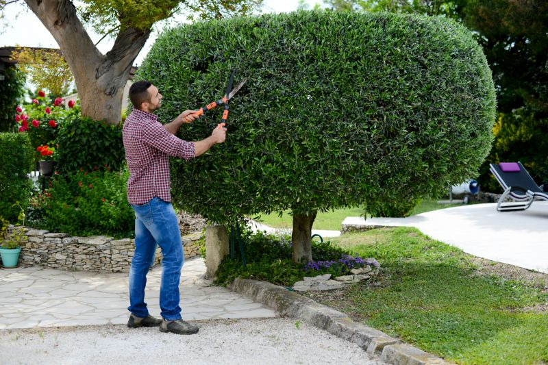 Cost of Brush Cutting — Cost of Brush Cutting