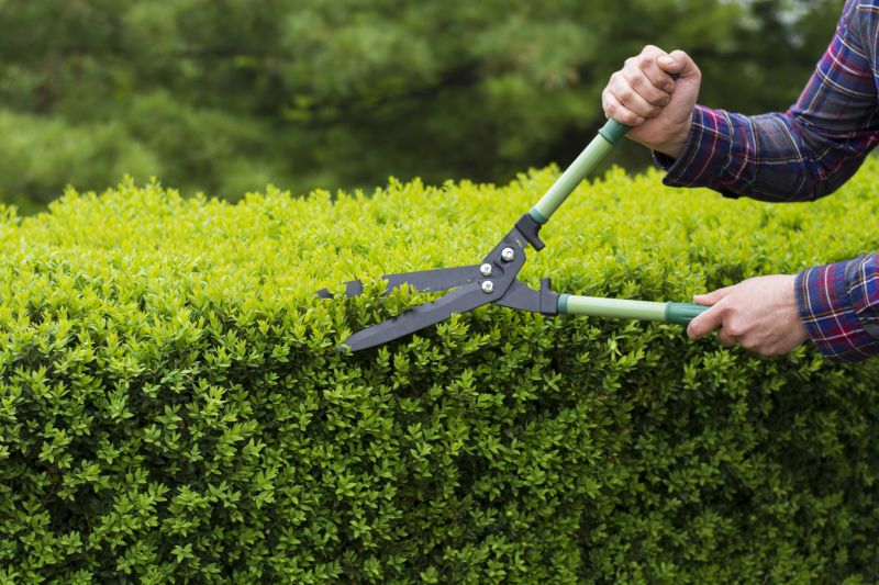Cost of Brush Cutting — Cost of Brush Cutting