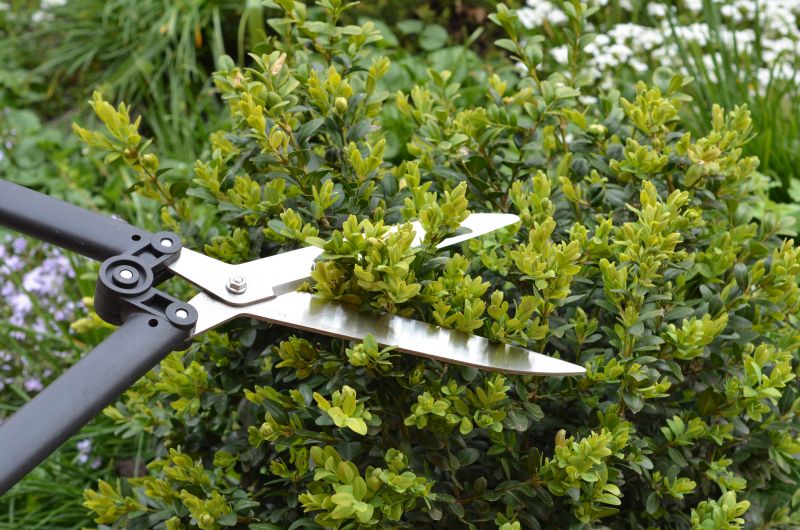 Cost of Brush Cutting — Cost of Brush Cutting