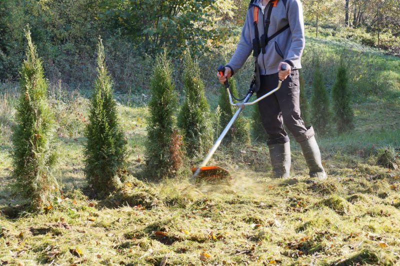 Cost of Brush Cutting — Cost of Brush Cutting