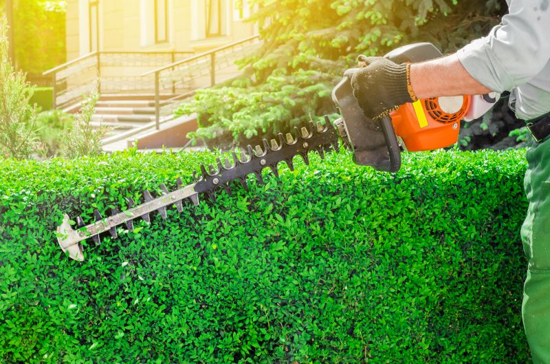 Cost of Brush Cutting — Cost of Brush Cutting