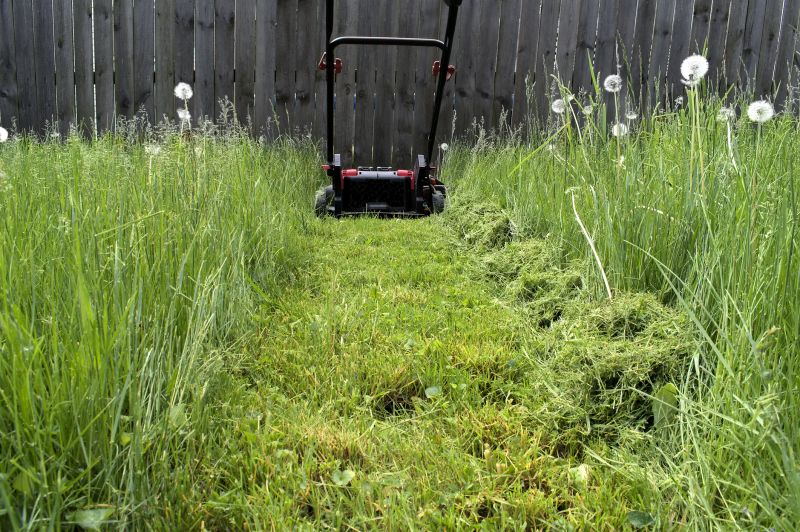 Pasture Mowing in Prince Georges County, MD